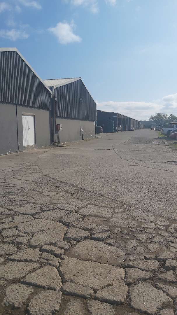 To Let Commercial Property for Rent in Wilsonia Eastern Cape